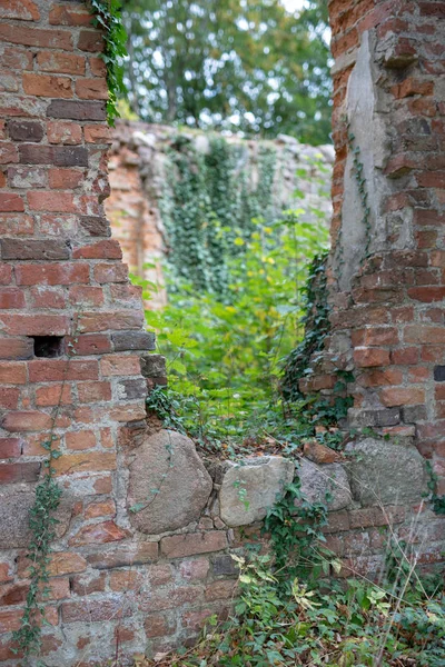 Walls of the ruins of the church. An old demolished building in central europe. Season of the autumn.