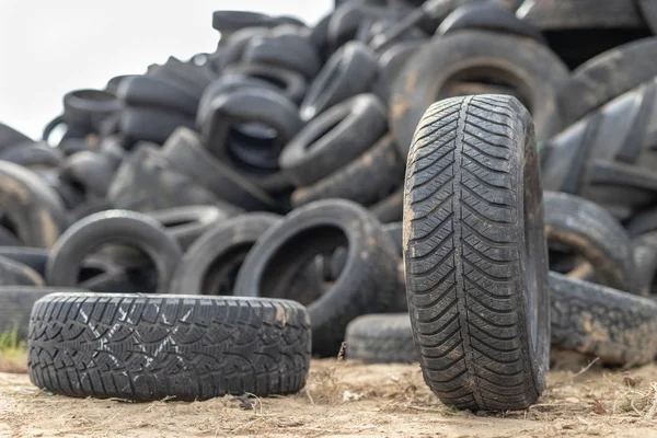 Una Pila Neumáticos Viejo Basurero Viejos Neumáticos Desgastados Amontonados Temporada —  Fotos de Stock
