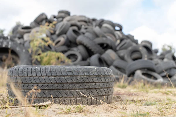 Una Pila Neumáticos Viejo Basurero Viejos Neumáticos Desgastados Amontonados Temporada —  Fotos de Stock