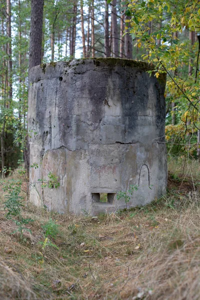 Old nuclear bunkers in Central Europe. Atomic shelters hidden deep in the forest. Season of the autumn.