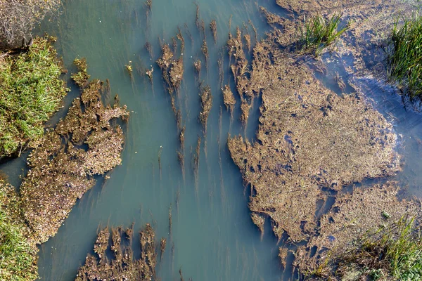 Eau Coulant Dans Une Rivière Nuageuse Vue Lit Rivière Depuis — Photo