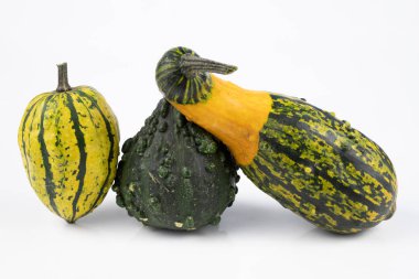 Dekoratif balkabağı beyaz mutfak masası üzerinde. Meyve için halloween süslemeleri için. Sonbahar arka plan.