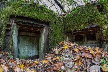 Orta Avrupa yıkıldı sığınakta. Eski betonarme tahkimatı Pomeranian set of. Sezon sonbahar.
