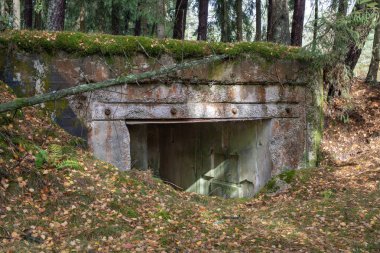 Orta Avrupa yıkıldı sığınakta. Eski betonarme tahkimatı Pomeranian set of. Sezon sonbahar.