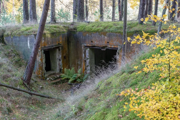 Abgerissener Bunker Mitteleuropa Alte Stahlbetonbefestigungen Des Pommerschen Dammes Herbstzeit — Stockfoto