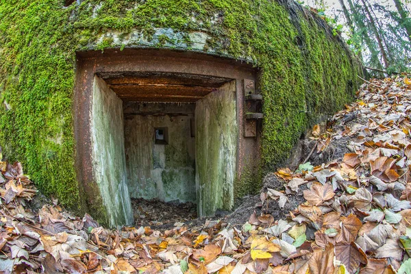 Abgerissener Bunker Mitteleuropa Alte Stahlbetonbefestigungen Des Pommerschen Dammes Herbstzeit — Stockfoto