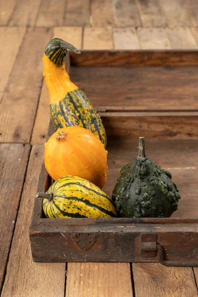 Zucca Decorativa Tavolo Cucina Bianco Frutta Halloween Decorazioni Sfondo Autunno — Foto Stock