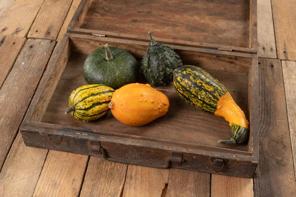 Zucca Decorativa Tavolo Cucina Bianco Frutta Halloween Decorazioni Sfondo Autunno — Foto Stock