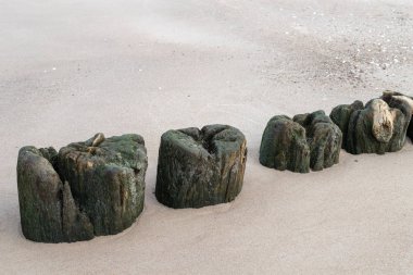 Eski dalgakıran direk deniz sahilde. Orta Avrupa'nın sahil. Sezon sonbahar.