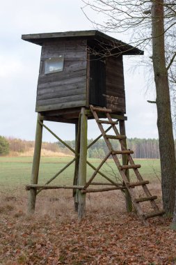 Ahşap inşaat orman kenarında ayarla. Yeni bir av minber vahşi oyun avcılar için. Bahar mevsimi.