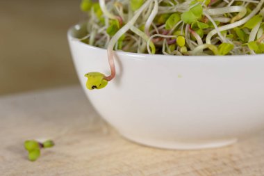 Bir fincan lezzetli bira metal bir tablo. Soğuk bir bira hizmet için hazır. Koyu arka plan.