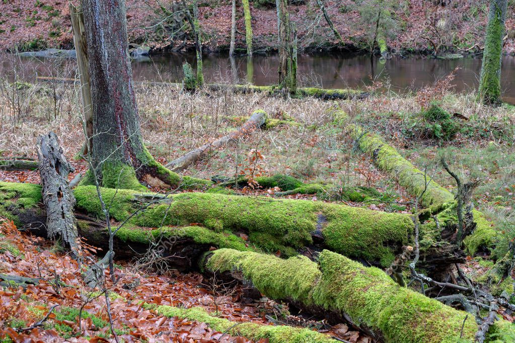 piotrek@wytrazek.pl