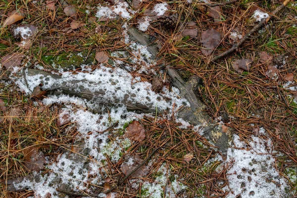 piotrek@wytrazek.pl