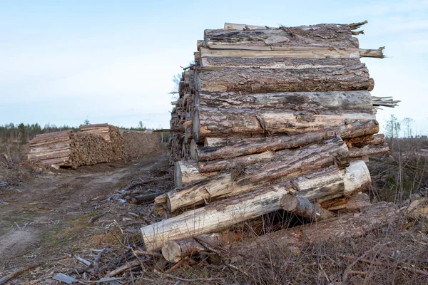 A pile of wood arranged along a forest road. Wood prepared for export. Season winter.