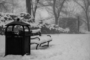 Karla kaplı bir Bank parkta. Bir Bank tarafından park yolundaki karla kaplı. Kış sezon.