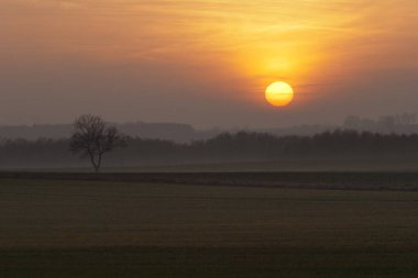 Günbatımı ekili alanlar üzerinde. Sezon sonbahar.