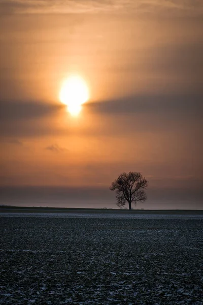 Matahari Terbit Atas Lahan Yang Dibudidayakan Musim Musim Gugur — Stok Foto