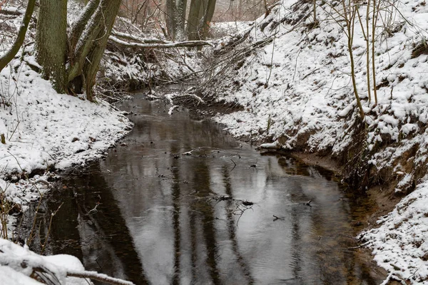 Ruisseau Couvert Neige Dans Forêt Petit Débit Eau Coule Dans — Photo