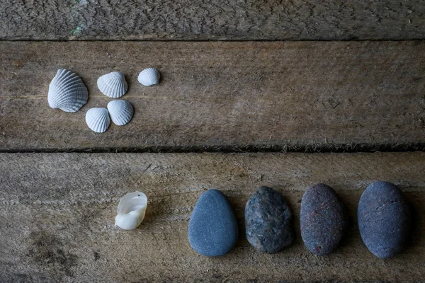 Schelpen Stenen Een Houten Tafel — Stockfoto