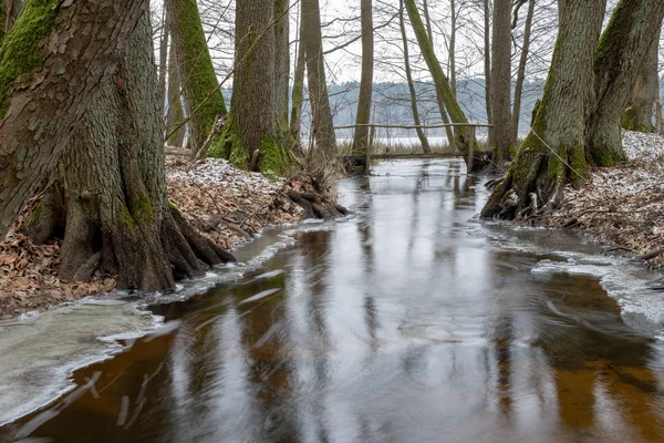 Une Petite Rivière Qui Coule Entre Les Arbres Avec Petit — Photo