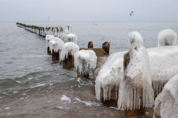 海岸防波堤的冰冻的杆子 冰冷的木杆冬季季节 — 图库照片