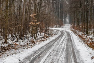 Kışın orman yolu. Ormanın içinden önde gelen bir çakıl yol. Kış sezon.