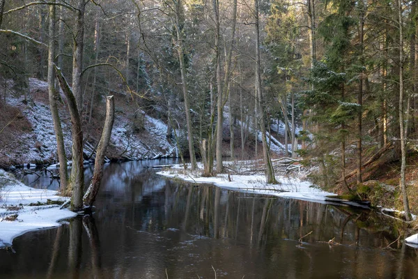 Une Petite Rivière Qui Coule Entre Les Arbres Avec Petit — Photo