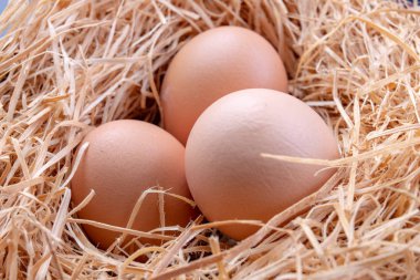 Lezzetli yumurta saman yatak takımları. Ev yapımı hamur işleri için taze malzemeler. Koyu arka plan.