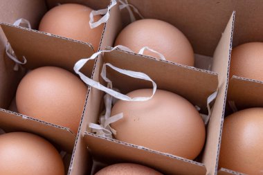 Lezzetli yumurta saman yatak takımları. Ev yapımı hamur işleri için taze malzemeler. Koyu arka plan.