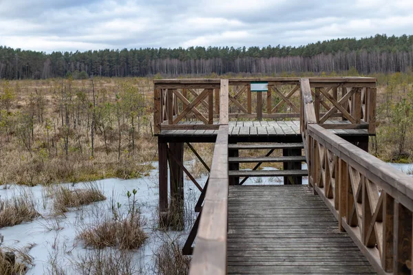 A solid wooden bridge over the forested wetlands. Forest reserve of forest bogs. Season winter.