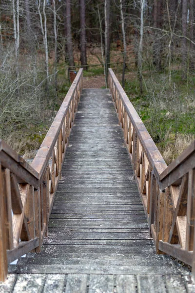 Uma Ponte Madeira Sólida Sobre Zonas Húmidas Florestadas Reserva Florestal — Fotografia de Stock