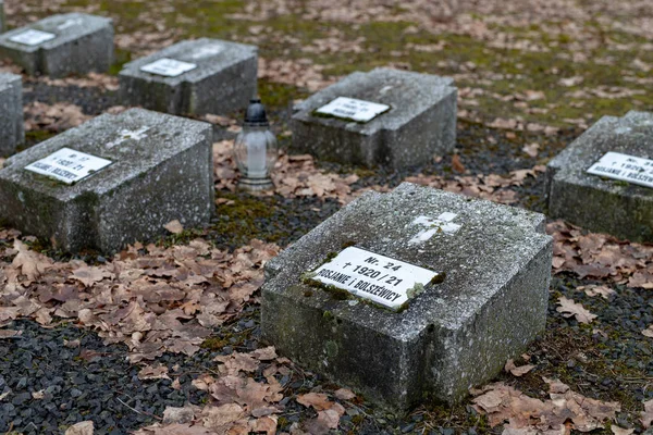 Tuchola Kujawskopomorskie ポーランド 2019 捕虜収容所の記憶の場所 捕虜収容所で死亡した兵士の湿原 シーズン冬 — ストック写真