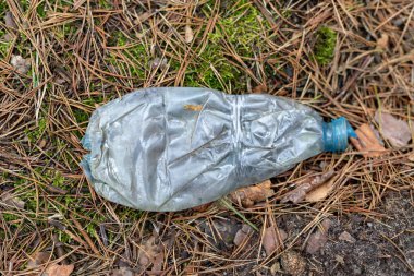 Ormanda yalan çöp. Perili orman ve doğa. Kış sezon, erken Bahar.