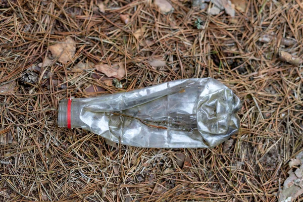 Basura Tirada Bosque Bosque Embrujado Naturaleza Temporada Invierno Principios Primavera — Foto de Stock