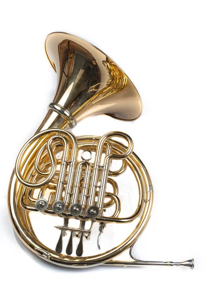French horn on a white table. Beautiful polished musical instrument. Light background.