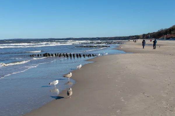 乌斯卡 波莫尔斯基 2019年2月22日 人们在海边海滩上散步 冬天在阳光明媚的天气里散步 冬季季节 — 图库照片