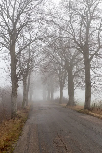 Camino de asfalto en una gran niebla. Baja visibilidad en una carretera concurrida en Cent — Foto de Stock