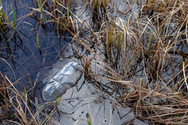 Plastik şişe gölün kenarına tarafından çevrili. Kirli tr