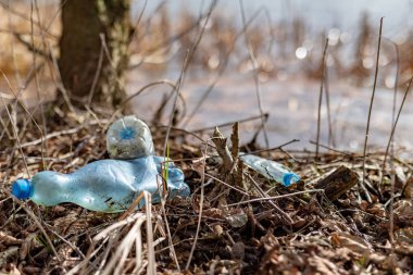 Plastik şişe gölün kenarına tarafından çevrili. Kirli tr