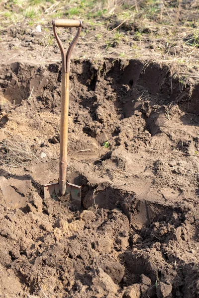 Espada atascada en el suelo en un jardín casero. Trabajos de limpieza de jardines — Foto de Stock