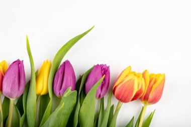 Laleler açık bir masada. Güzel çiçekler t düzenlemek için hazırlanan