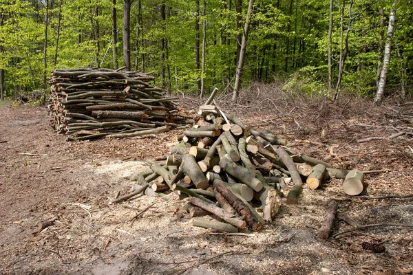 A pile of wood arranged along a forest road. Wood prepared for export. Season of the spring