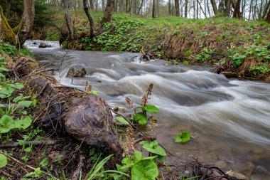 Dağlık arazide hızlı bir dere. Nehirde akan su uzun pozlama da gösterilmiştir. Bahar Mevsimi.