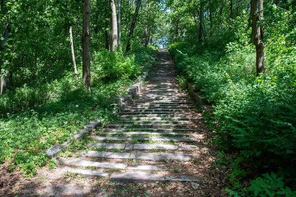 Stone velho negligenciado escadas na floresta. Caminho velho na cidade p — Fotografia de Stock