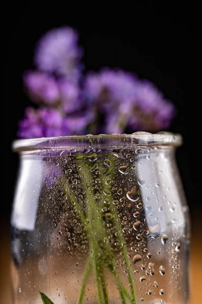 Small blue flowers in a glass vase. Beautiful small flowers with