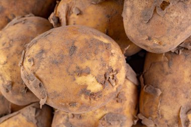 Beyaz mutfak masasında genç patatesler. Sebzeler hazır.