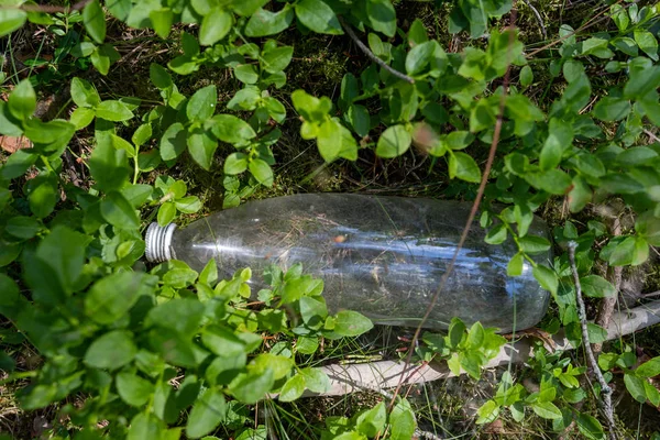 Botella de vidrio que yace en la basura del bosque como un peligro de incendio. Bolso de basura —  Fotos de Stock