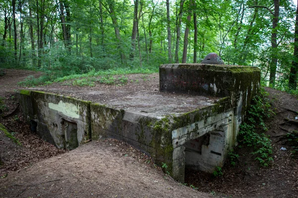 Bialy bor, zachodniopomorskie / poland - 28. Juni 2019: Stärke — Stockfoto