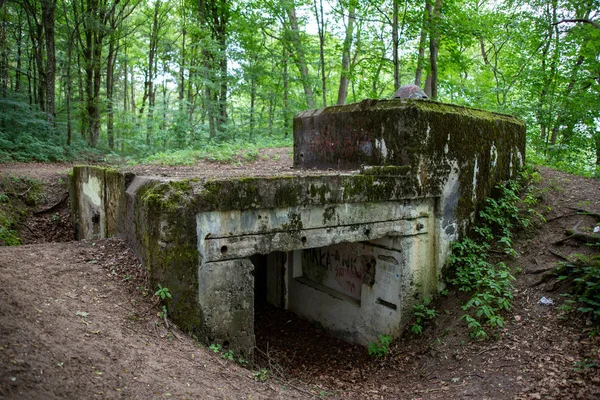 Bialy Bor, zachodniopomorskie / Polonia - 28 de junio de 2019: Fuerza — Foto de Stock