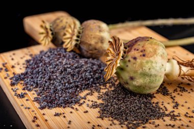 Taze haşhaş tohumları ahşap bir mutfak tahtası üzerine dökülür. Farklı po